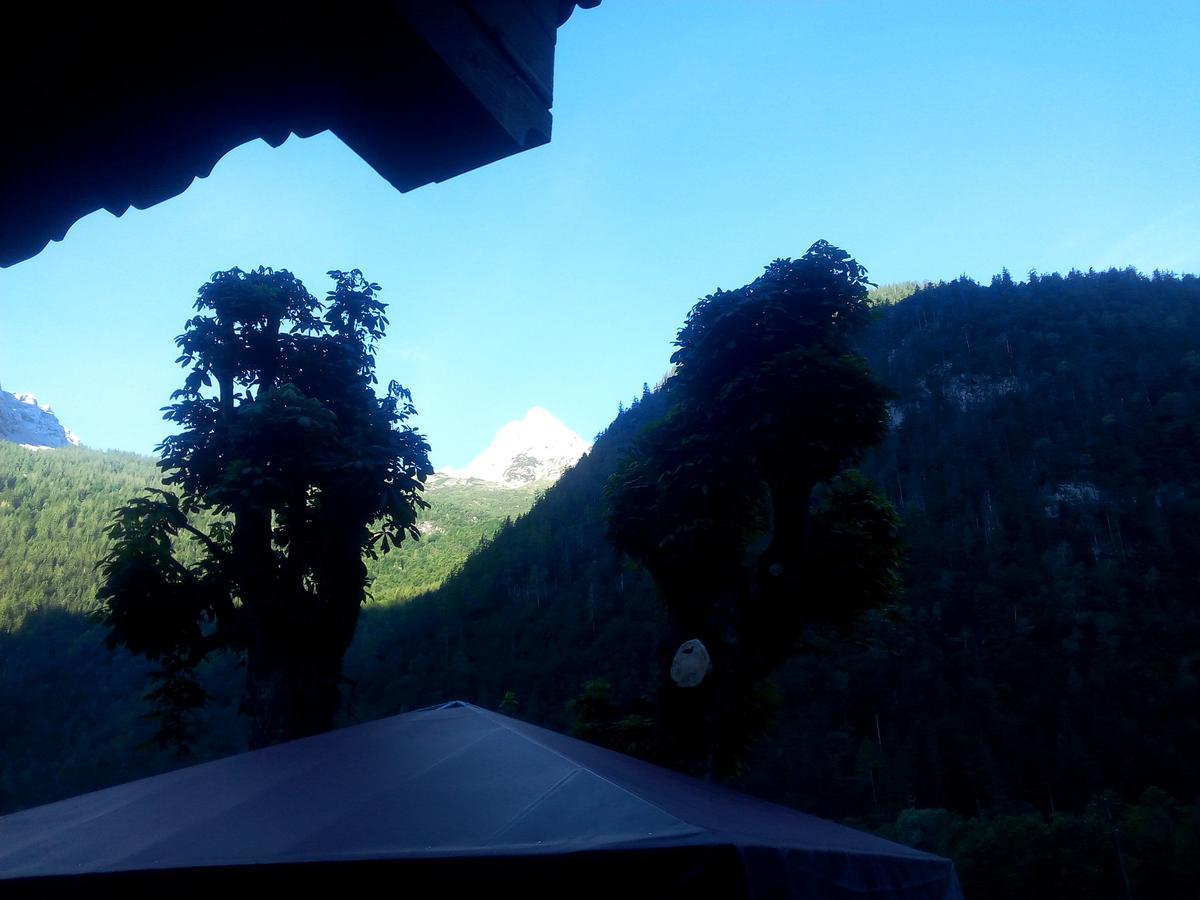Gasthof-Pension Frohnwies Вайсбах-бай-Лофер Экстерьер фото